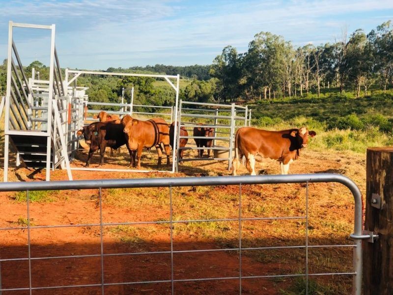 28941 Bruce Highway, Childers QLD 4660