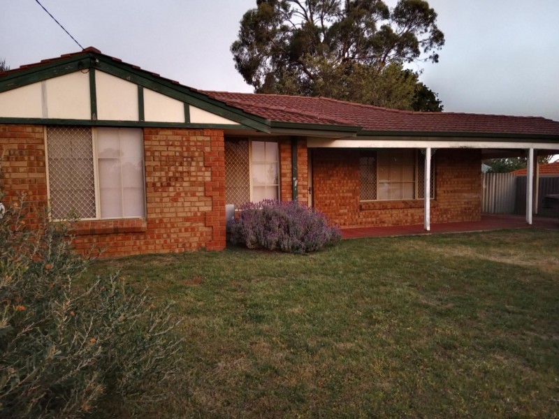 9 Kemmish Avenue, Parmelia WA 6167