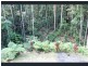9 Tully Court, Kuranda QLD 4881