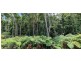 9 Tully Court, Kuranda QLD 4881