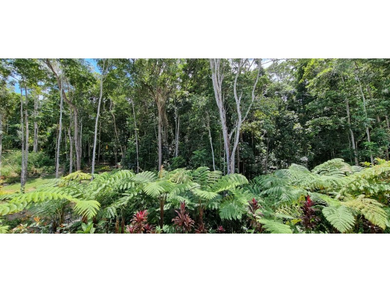 9 Tully Court, Kuranda QLD 4881