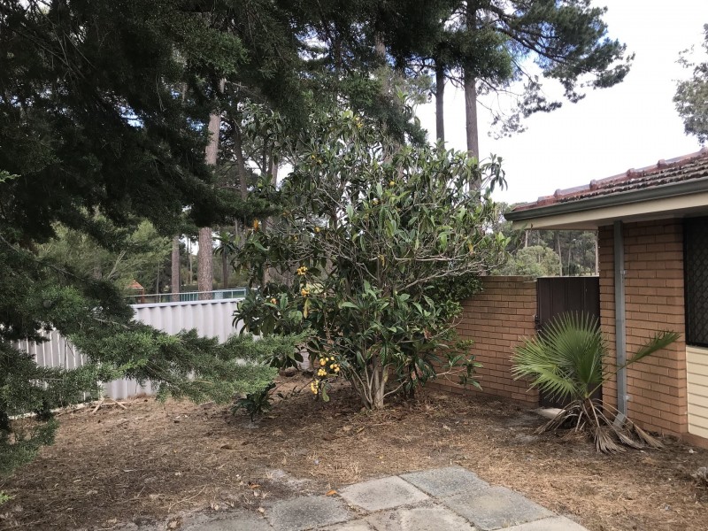 81 Walanna drive, Karawara WA 6152