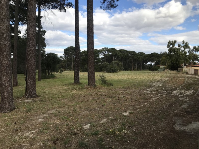 81 Walanna drive, Karawara WA 6152