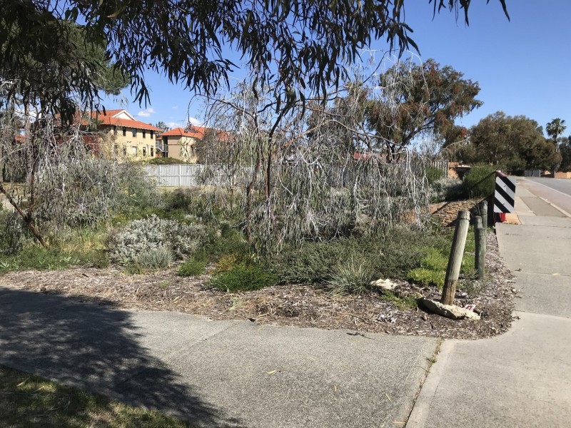 81 Walanna drive, Karawara WA 6152