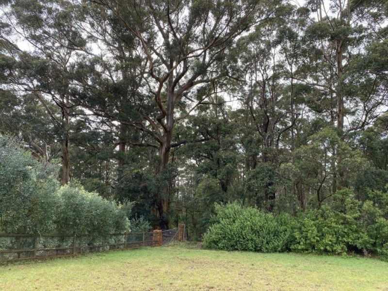 9 Jamieson heights, Shadforth WA 6333