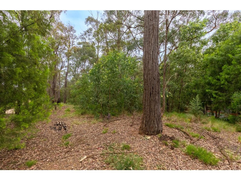 24 Westrops Road, Coolagolite NSW 2550