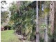 1438 Tableland Road, Horse Camp QLD 4671