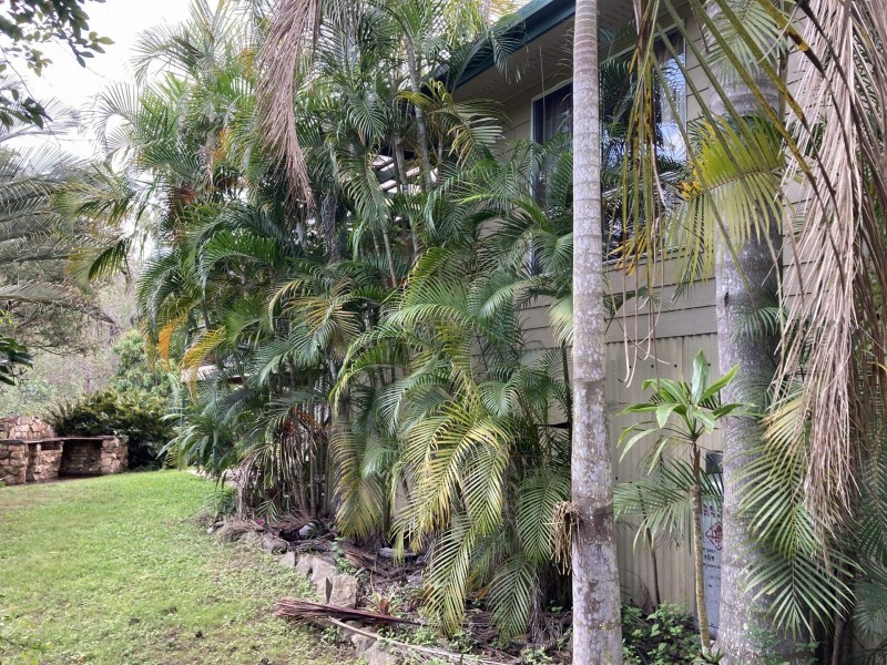 1438 Tableland Road, Horse Camp QLD 4671