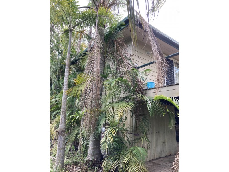 1438 Tableland Road, Horse Camp QLD 4671