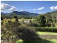 165 Gungas Road, Nimbin NSW 2480