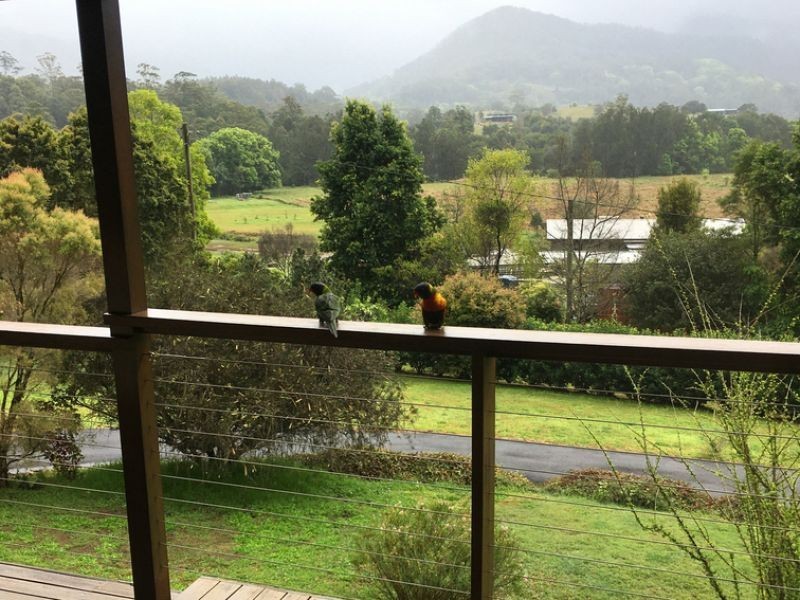 165 Gungas Road, Nimbin NSW 2480