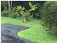 165 Gungas Road, Nimbin NSW 2480
