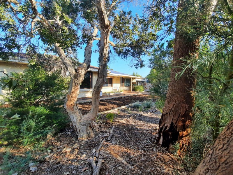 4 Marrow Close, Yangebup WA 6164