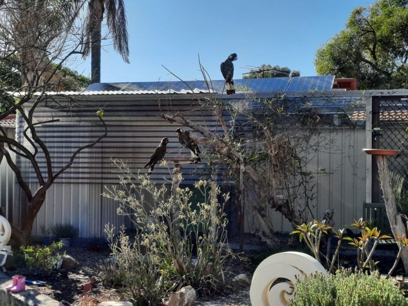 4 Marrow Close, Yangebup WA 6164