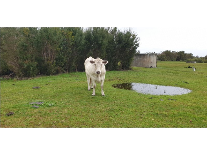 1326 Riverdale Road, Cookernup WA 6220