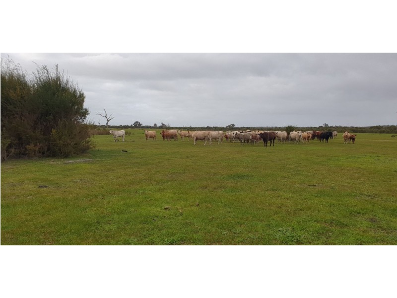 1326 Riverdale Road, Cookernup WA 6220