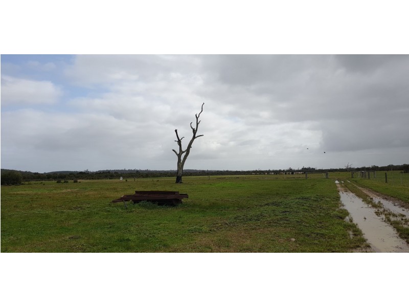 1326 Riverdale Road, Cookernup WA 6220