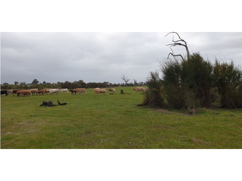 1326 Riverdale Road, Cookernup WA 6220