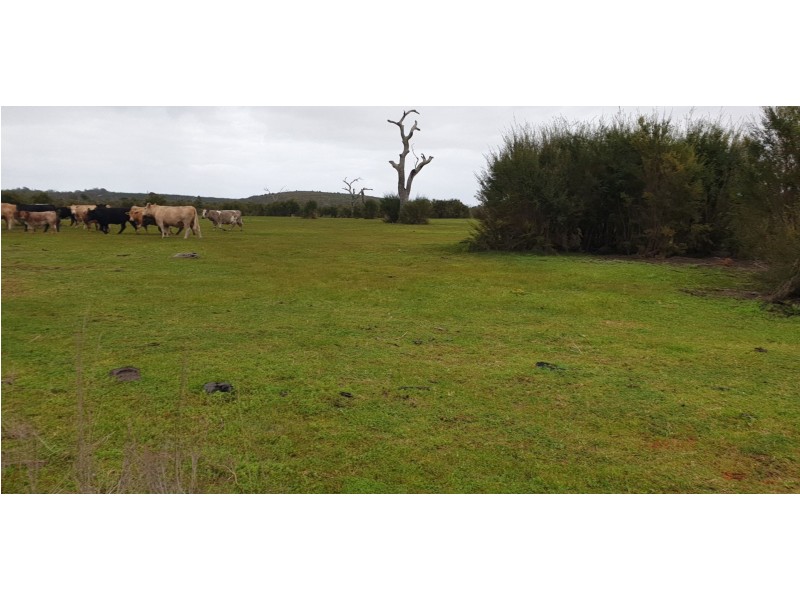 1326 Riverdale Road, Cookernup WA 6220