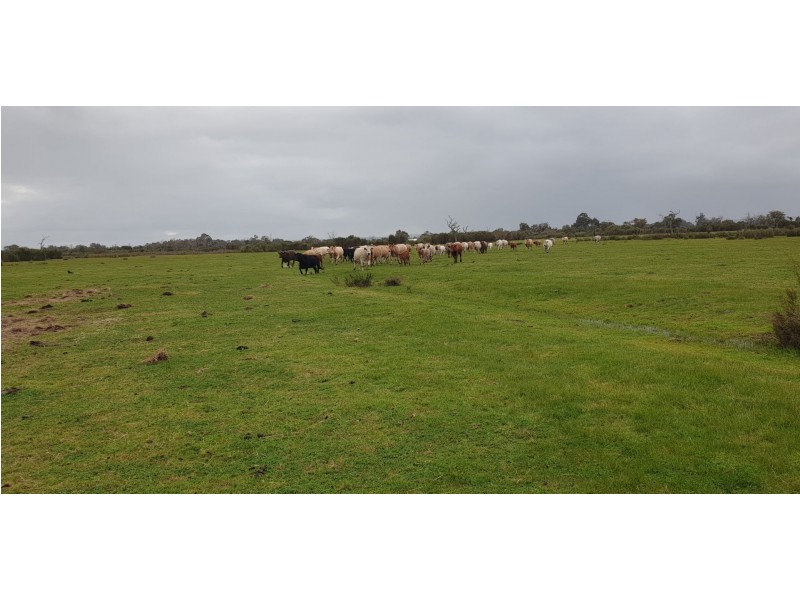 1326 Riverdale Road, Cookernup WA 6220