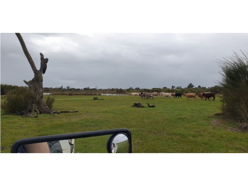 1326 Riverdale Road, Cookernup WA 6220