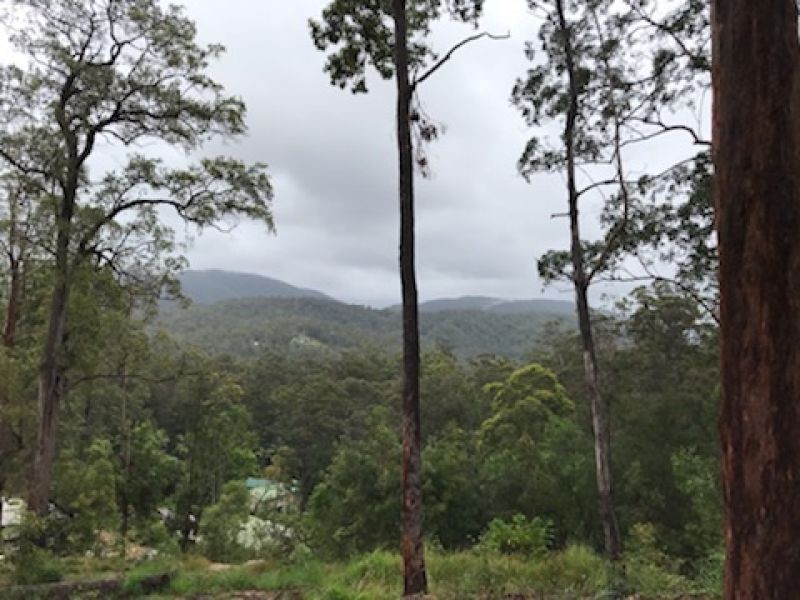37 Daintree Court, Austinville QLD 4213