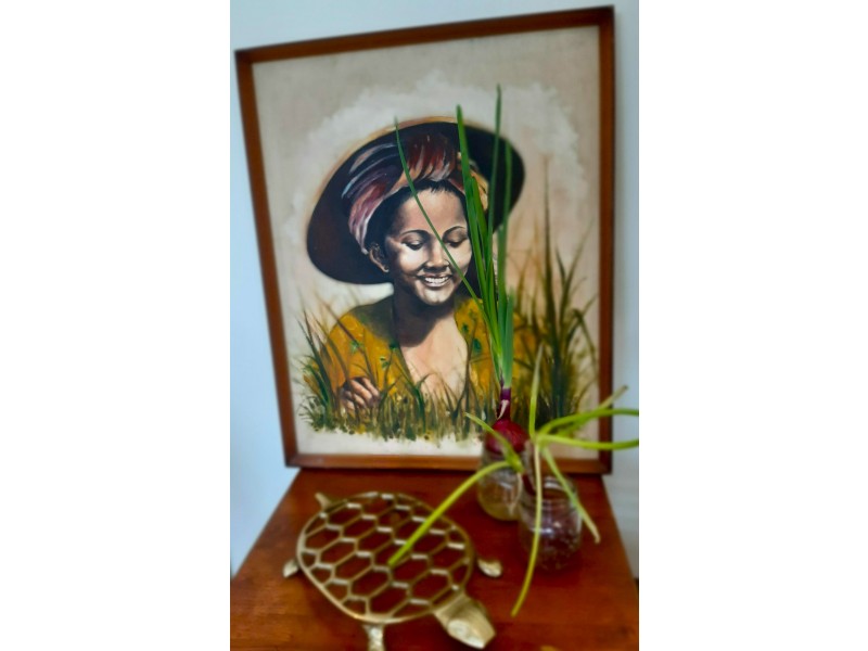 33-37 Towen View Court, Towen Mountain QLD 4560