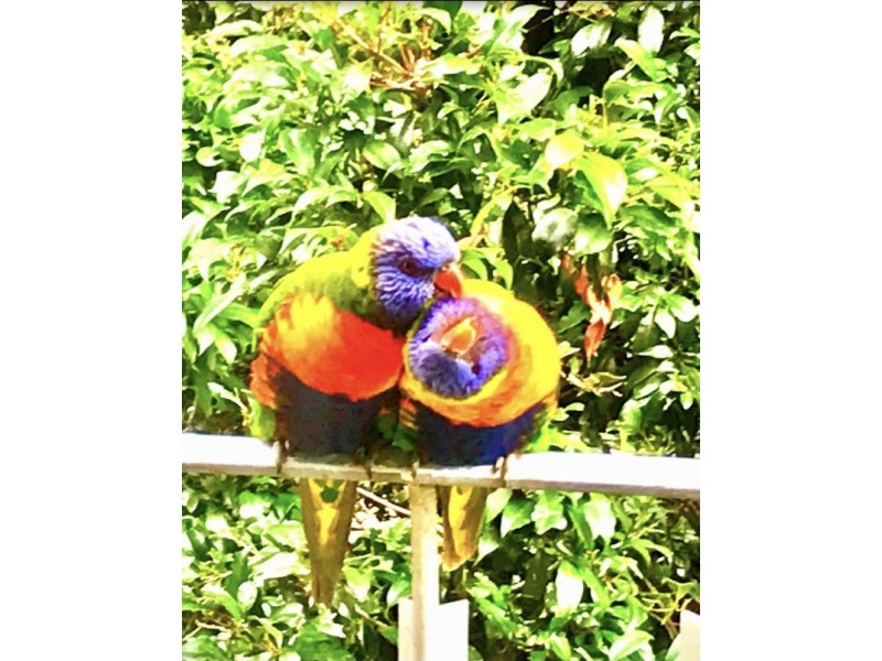 9/15 Beach Avenue, Elwood VIC 3184