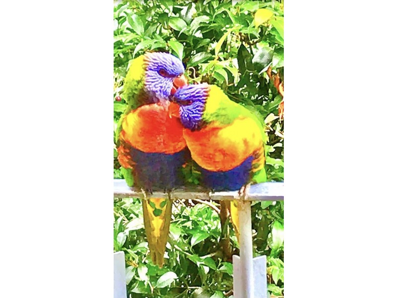 9/15 Beach Avenue, Elwood VIC 3184