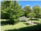 Grenfell NSW 2810