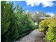 Grenfell NSW 2810