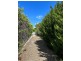 Grenfell NSW 2810