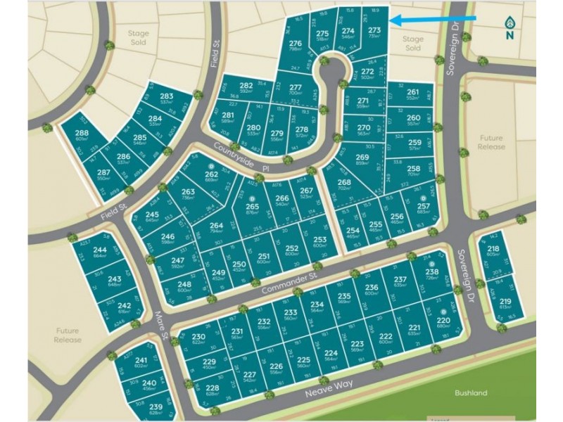 lot 273 Country Side Place, Thrumster NSW 2444