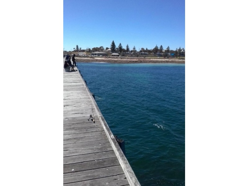 10 Furner Crescent, Port Hughes SA 5558