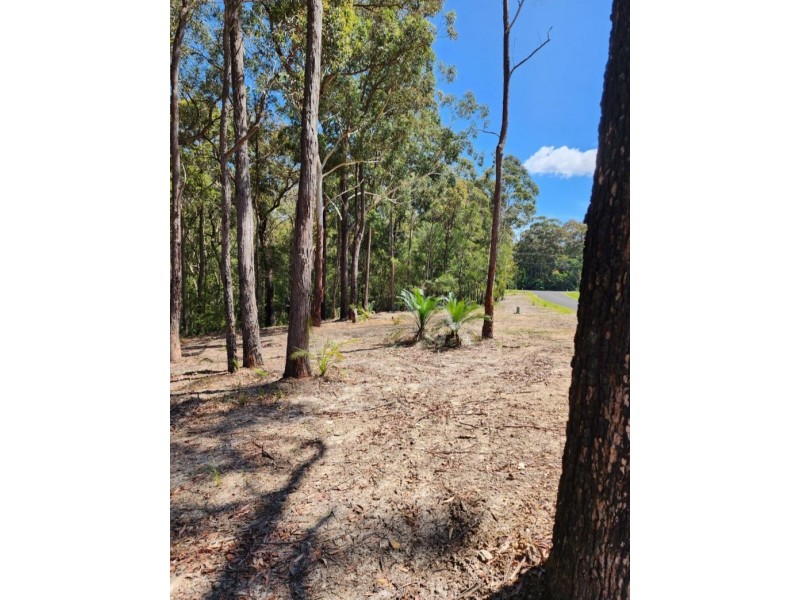 Lot 30 Clyde view Drive, Long Beach NSW 2536