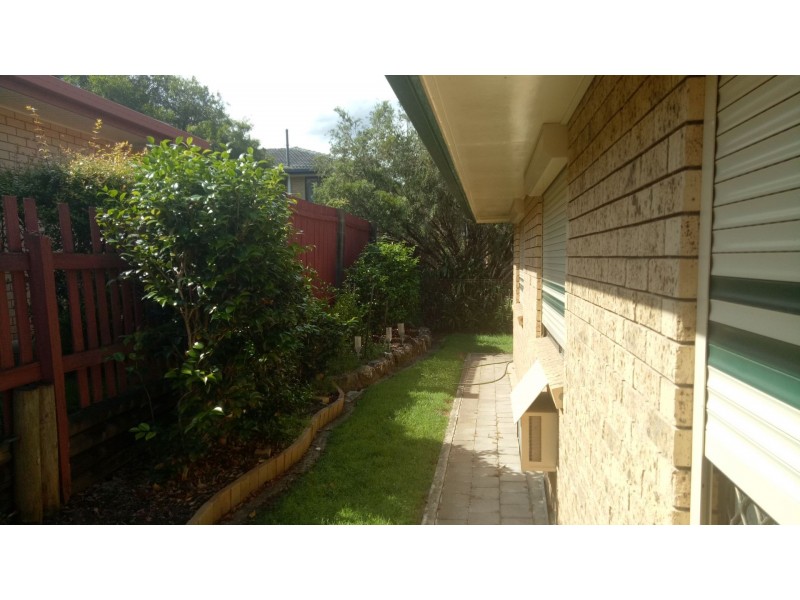 26 Raintree Street, Mansfield QLD 4122