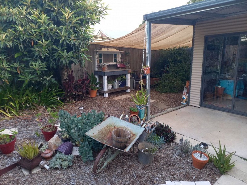 13 Terrace Lea Ct, Palmwoods QLD 4555