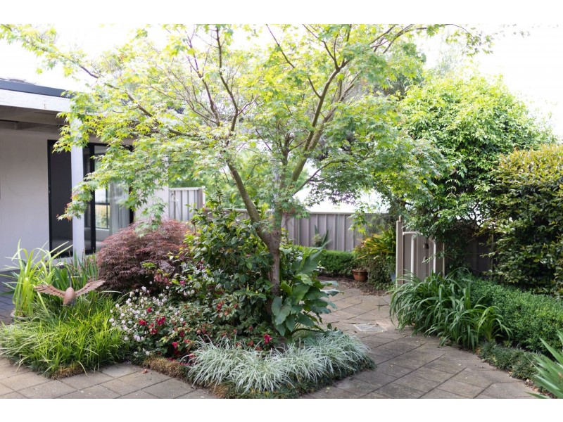 8 Jenolan Place, Tatton NSW 2650