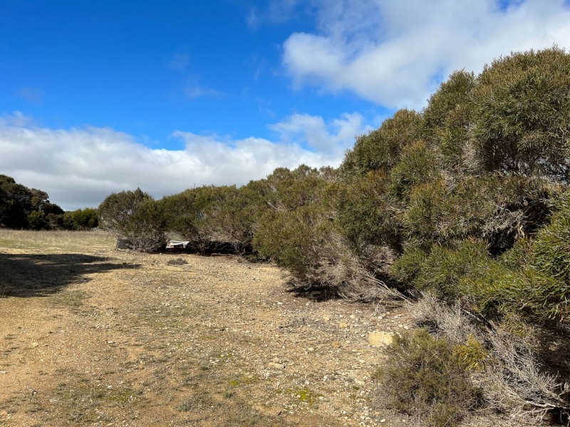 Lot 51 Birchmore road, Birchmore SA 5223