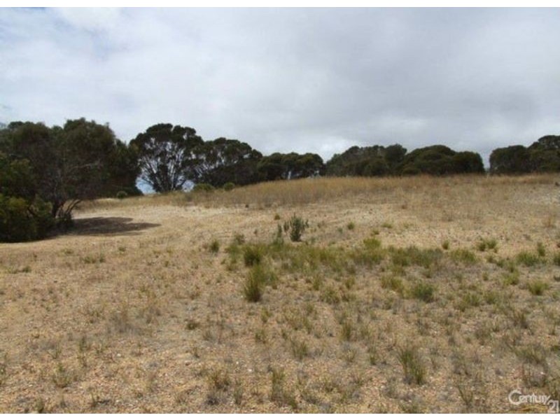 Lot 51 Birchmore road, Birchmore SA 5223