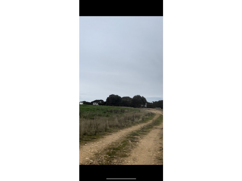 Lot 51 Birchmore road, Birchmore SA 5223