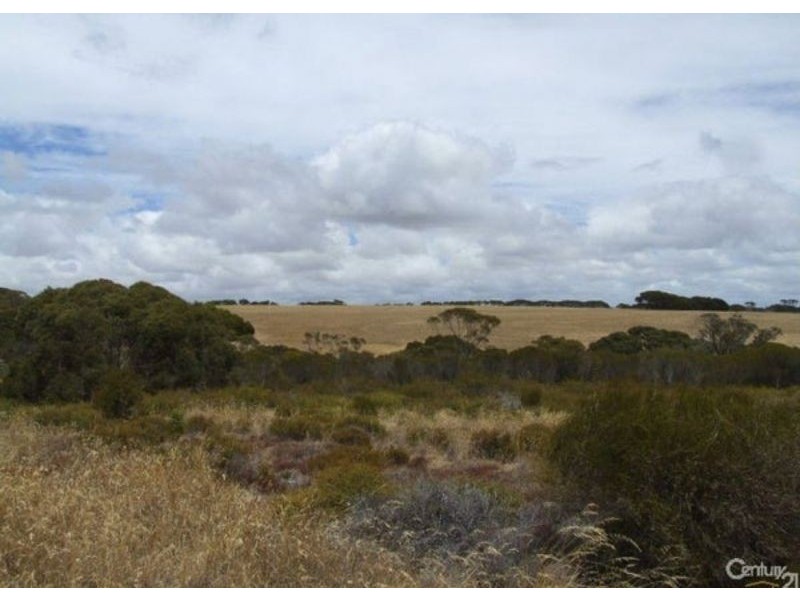 Lot 51 Birchmore road, Birchmore SA 5223