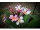 Lot 2 Attie Creek Rd, Cardwell QLD 4849
