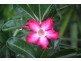 Lot 2 Attie Creek Rd, Cardwell QLD 4849