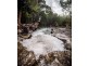 Lot 2 Attie Creek Rd, Cardwell QLD 4849