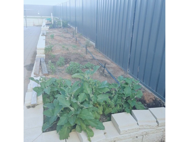 15 Thomas Street, Gol Gol NSW 2738