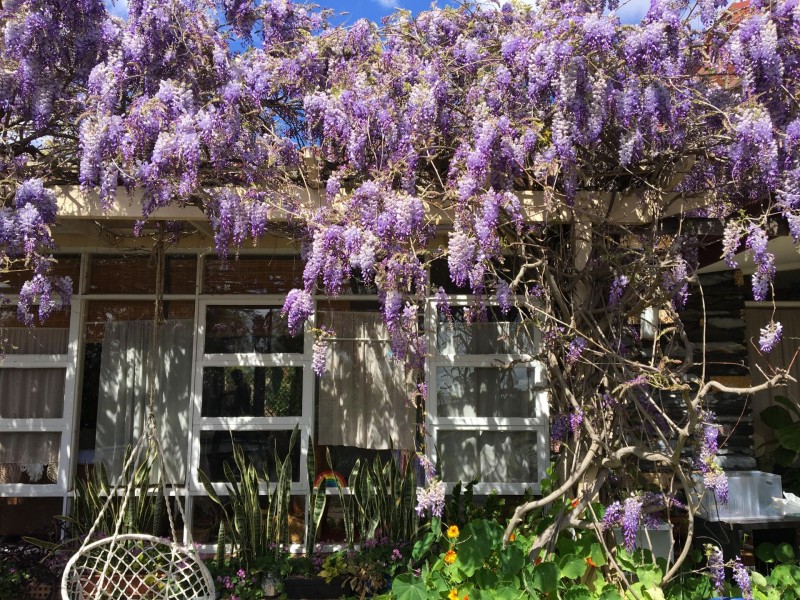 9A Harrolyn Ave, Riverton WA 6148