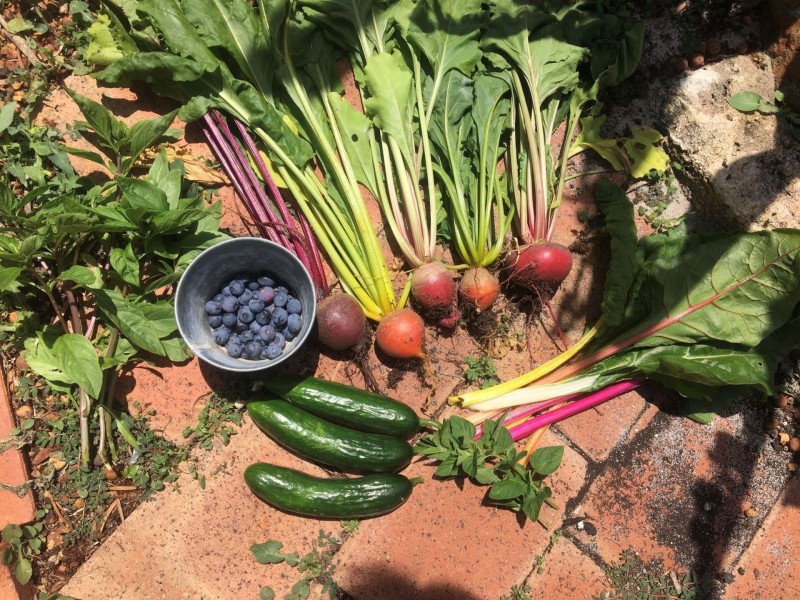 9A Harrolyn Ave, Riverton WA 6148