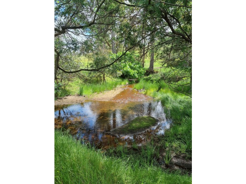 39 Logue Brook Dam Rd, Cookernup WA 6220