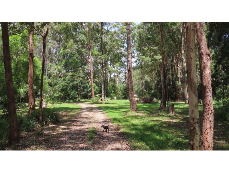 Yarrahapinni NSW 2441